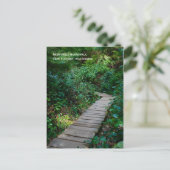 Rainforest Boardwalk Postkarte (Stehend Vorderseite)