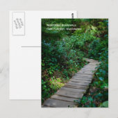Rainforest Boardwalk Postkarte (Vorne/Hinten)