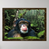 "RAINFOREST DREAMS II" Schimpanse Art Poster (Vorne)