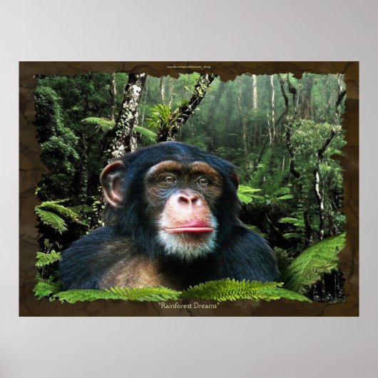 "RAINFOREST DREAMS II" Schimpanse Art Poster (Vorne)