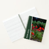 Rainforest Ferns Trees Palms, Australien, Green Notizblock (Innenseite)