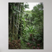 RAINFOREST GROSSE INSEL POSTER (Vorne)