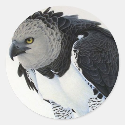"Rainforest-Harpy Eagle" Runder Aufkleber (Vorderseite)