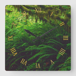 Rainforest Jungle Nature-Lover's Wall Quadratische Wanduhr