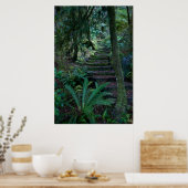Rainforest Poster (Küche)