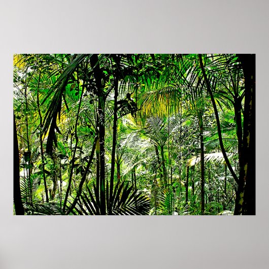 Rainforest Poster (Vorne)