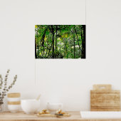 Rainforest Poster (Küche)