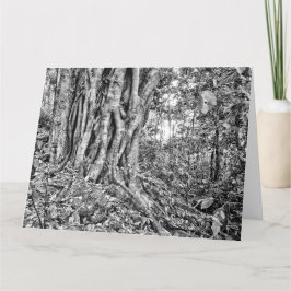 Rainforest Riesenrad Art Card Südaustralien Karte