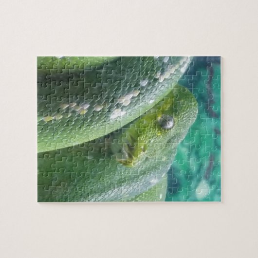 Rainforest Schlangenpuzzle Puzzle (Horizontal)