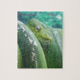 Rainforest Schlangenpuzzle Puzzle