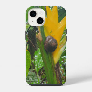 Rainforest Snail Case iPhone 14 Hülle