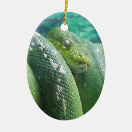 Rainforest Snake Ornament (Vorne)