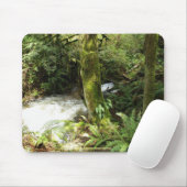 Rainforest Stream Wilderness Nature Foto Mousepad (Mit Mouse)