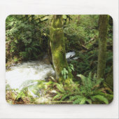 Rainforest Stream Wilderness Nature Foto Mousepad (Vorne)
