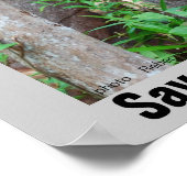 Rainforest Wildlife Poster (Ecke)