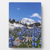 Rainier am Paradise Point Fotoplatte (Vorderseite)