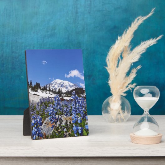 Rainier am Paradise Point Fotoplatte (Seite)