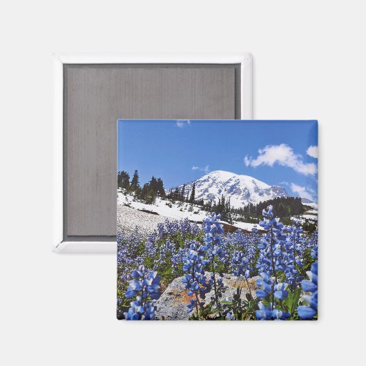 Rainier am Paradise Point Magnet (Vorderseite/Rückseite)