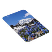 Rainier am Paradise Point Magnet (Rechte Seite)