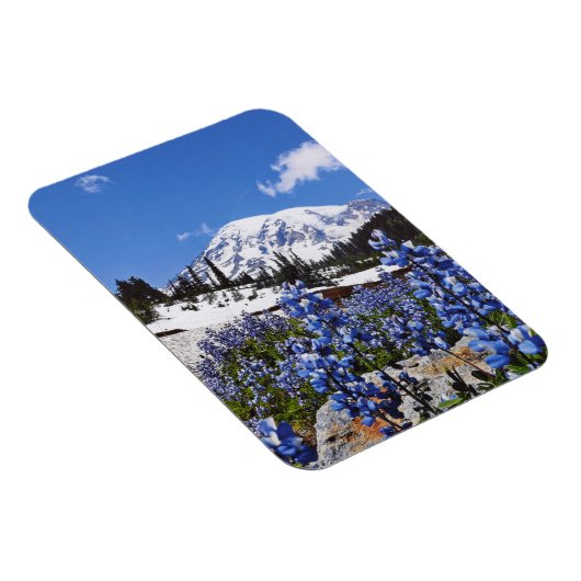 Rainier am Paradise Point Magnet (Rechte Seite)