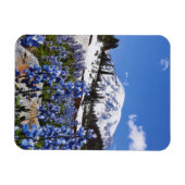 Rainier am Paradise Point Magnet (Horizontal)