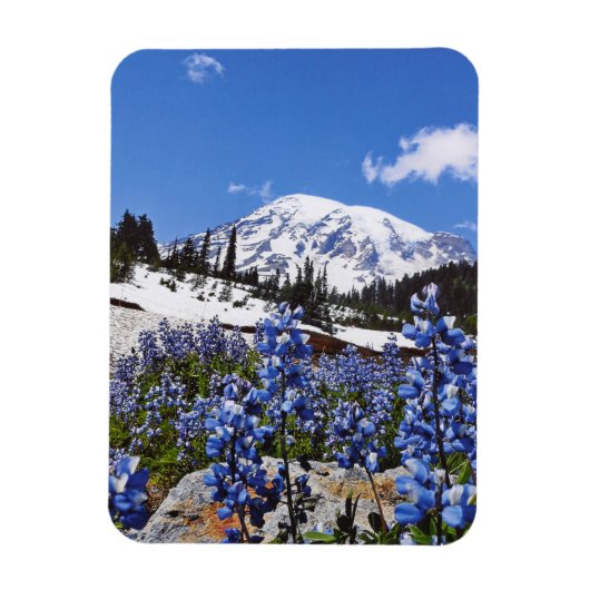 Rainier am Paradise Point Magnet (Vertikal)