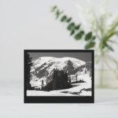 Rainier im Juni Postkarte (Stehend Vorderseite)