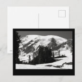 Rainier im Juni Postkarte (Vorne/Hinten)