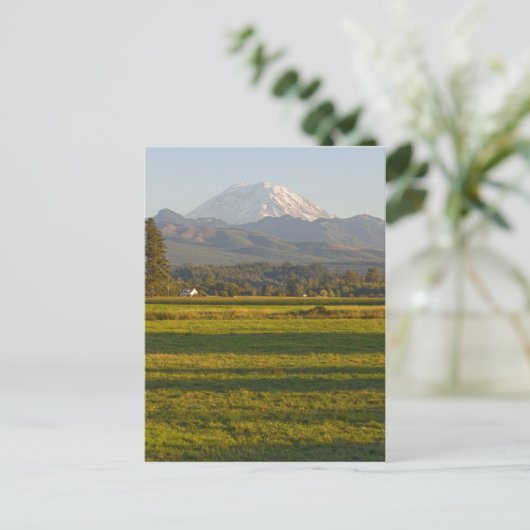 Rainier im Staat Washington Postkarte (Stehend Vorderseite)