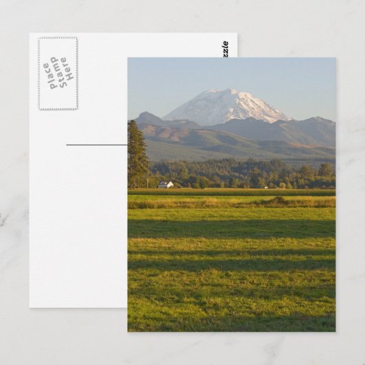 Rainier im Staat Washington Postkarte (Vorne/Hinten)