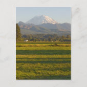 Rainier im Staat Washington Postkarte (Vorderseite)
