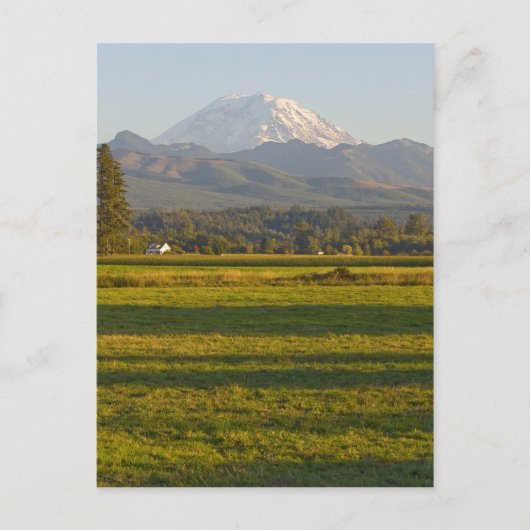 Rainier im Staat Washington Postkarte (Vorderseite)