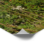 Rainier Lake Reflektion mit Wildblumen Poster (Ecke)