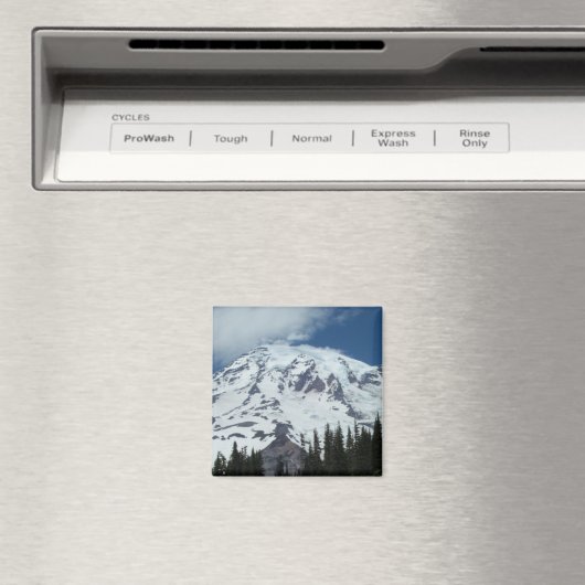 Rainier. Magnet (In Situ (Geschirrspüler))