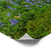 Rainier mit Lila Lupinen Poster (Ecke)