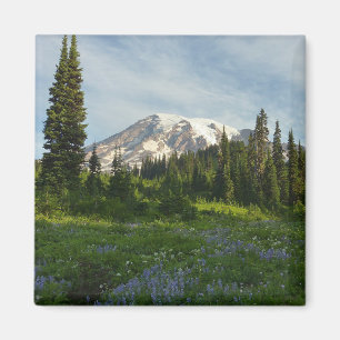 Rainier Morning Light Magnet