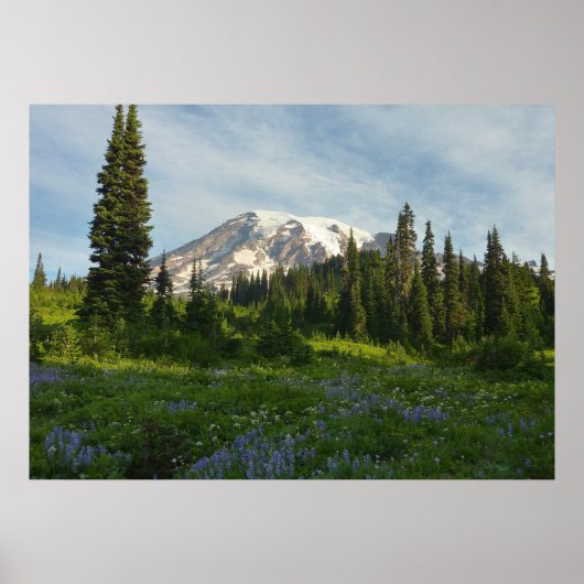 Rainier Morning Light Poster (Vorne)