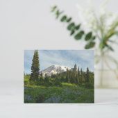 Rainier Morning Light Postkarte (Stehend Vorderseite)
