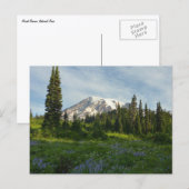 Rainier Morning Light Postkarte (Vorne/Hinten)