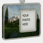 Rainier Morning Light Rahmen-Ornament Silber (Rechts)