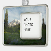 Rainier Morning Light Rahmen-Ornament Silber (Links)