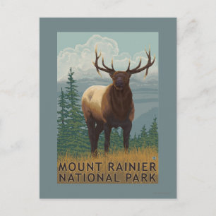Rainier National Park, WashingtonElk Scene Postkarte