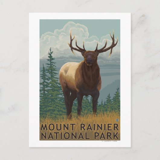 Rainier National Park, WashingtonElk Scene Postkarte (Vorderseite)