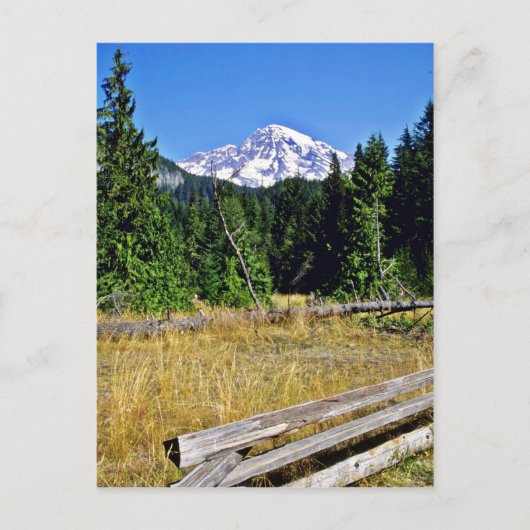Rainier-Nationalpark Postkarte (Vorderseite)