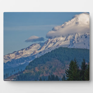 Rainier P5002 Fotoplatte