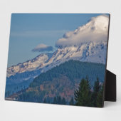Rainier P5002 Fotoplatte (Seite)