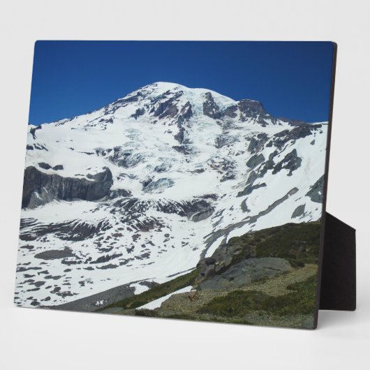 Rainier P555 Fotoplatte (Seite)