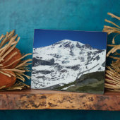 Rainier P555 Fotoplatte (Seite)
