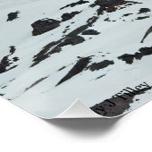 Rainier P7108 Poster (Ecke)