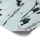 Rainier P7108 Poster (Ecke)